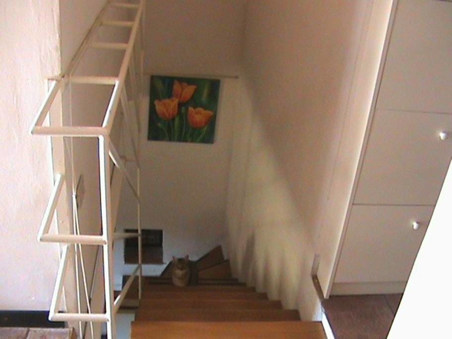 casa scale con gatto5