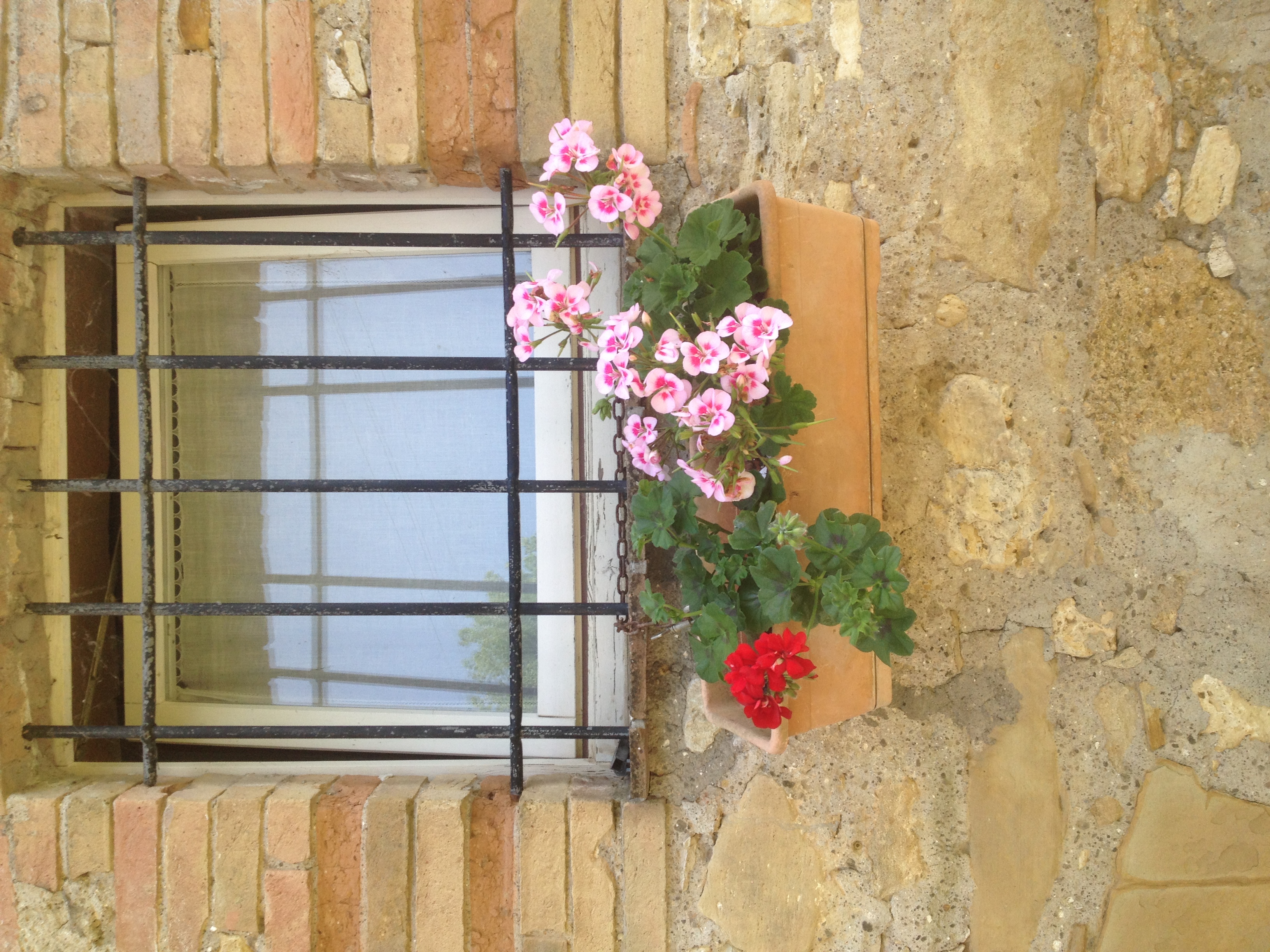 casafinestrabagno fiori