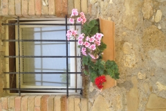 casafinestrabagno fiori